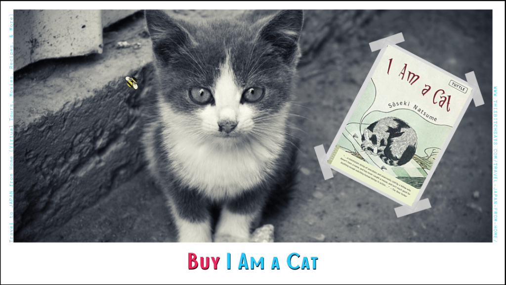 Buy the book I AM A CAT
