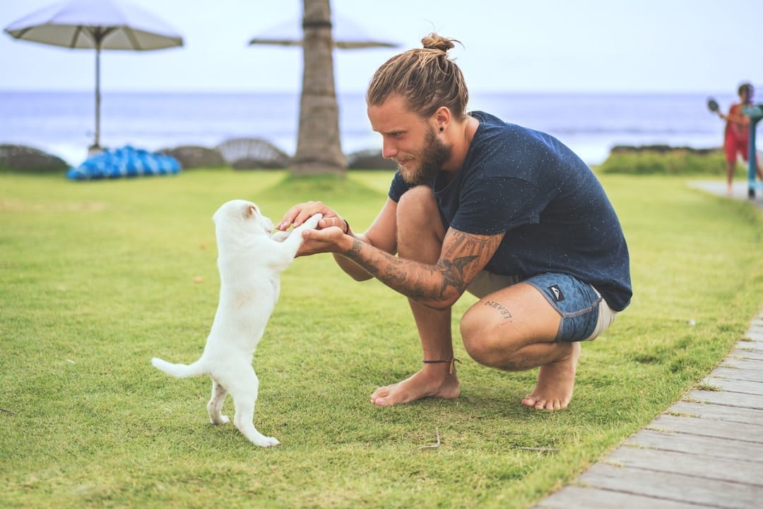 A man squats down to play with a cute puppy