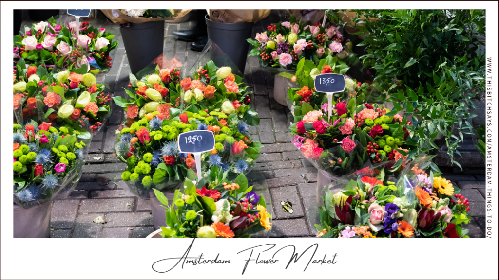the Amsterdam Flower Market is one of the top things to do in Amsterdam