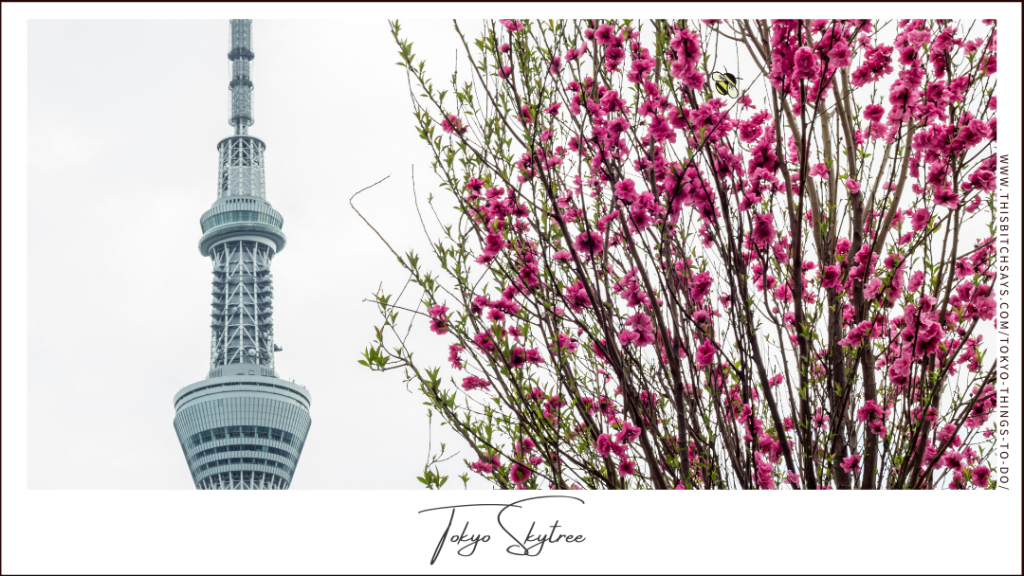 The Tokyo Skytree is one of the top things to do in Tokyo
