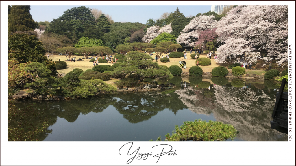 Yoyogi Park is one of the top things to do in Tokyo