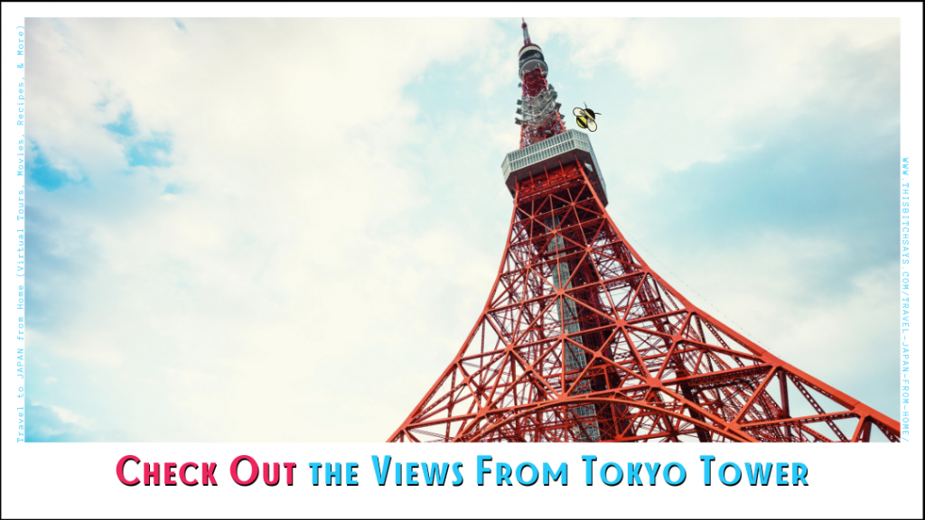 Check out the views from TOKYO TOWER
