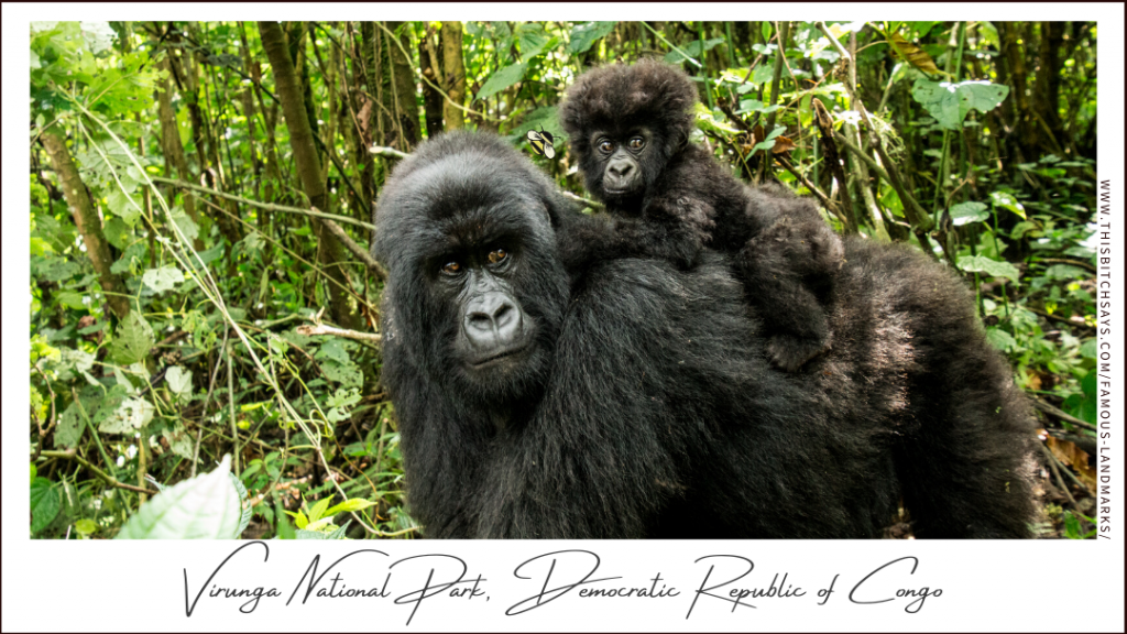 Virunga National Park, Congo (a Must-Visit World Landmark)