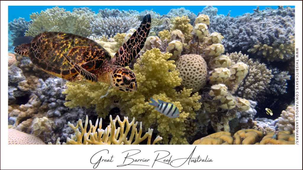Great Barrier Reef, Australia (a Must-Visit World Landmark)