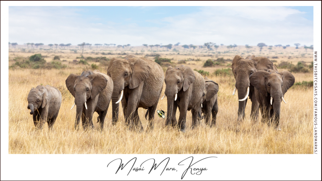 Masai Mara, Kenya (a Must-Visit World Landmark)