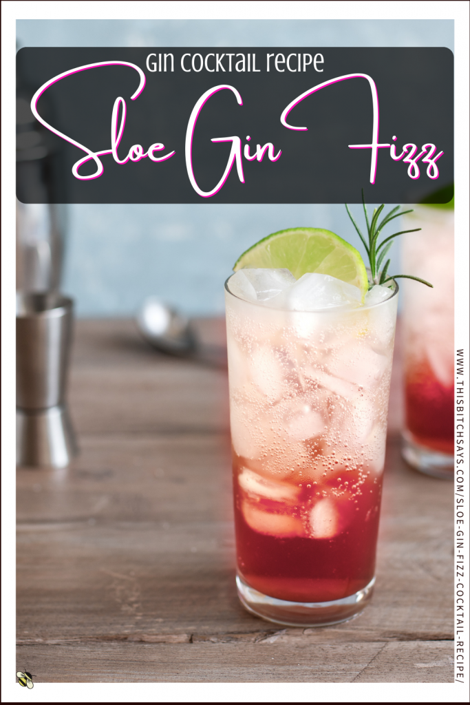 Pin This - Sloe Gin Fizz Gin Cocktail Recipe